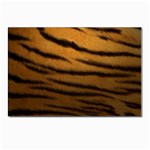 Tiger Print Dark	 Postcard 4 x 6  (Pkg of 10)