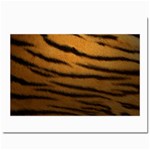 Tiger Print Dark	Prints 8  x 10 