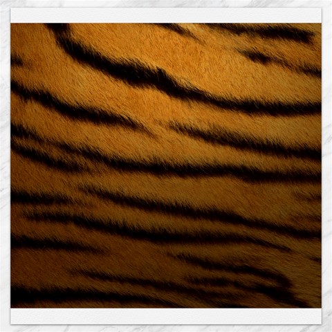 Tiger Print Dark	Canvas 12  x 12  from ArtsNow.com 11.4 x11.56  Canvas - 1