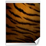 Tiger Print Dark	Canvas 12  x 16 