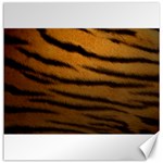 Tiger Print Dark	Canvas 16  x 16 