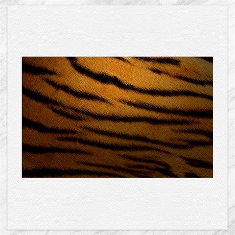Tiger Print Dark	Canvas 20  x 20  from ArtsNow.com 19 x19.27  Canvas - 1