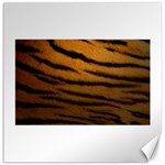 Tiger Print Dark	Canvas 20  x 20 