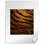 Tiger Print Dark	Canvas 18  x 24 