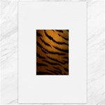 Tiger Print Dark	Canvas 24  x 36 