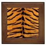 Tiger Print	 Framed Tile