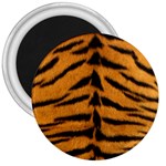 Tiger Print	 3  Magnet