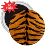 Tiger Print	 3  Magnet (10 pack)