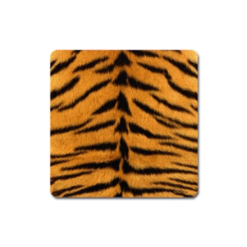 Tiger Print	 Magnet (Square) from ArtsNow.com Front