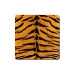 Tiger Print	 Magnet (Square)