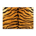 Tiger Print	 Sticker A4 (10 pack)