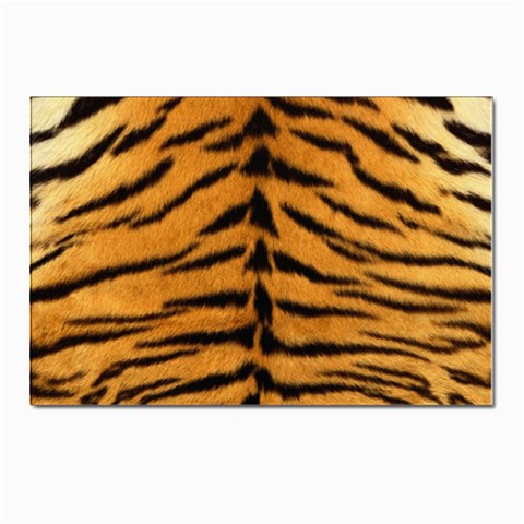Tiger Print	 Postcard 4 x 6  (Pkg of 10) from ArtsNow.com Front