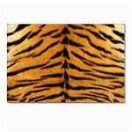 Tiger Print	 Postcards 5  x 7  (Pkg of 10)
