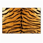 Tiger Print	 Postcards 5  x 7  (Pkg of 10)