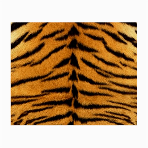 Tiger Print	 Glasses Cloth (Small) from ArtsNow.com Front