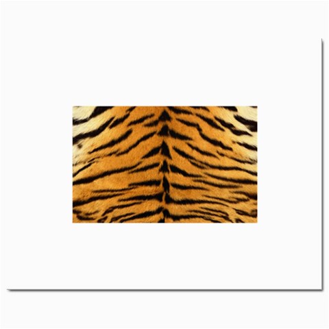 Tiger Print	Prints 8  x 10  from ArtsNow.com Front