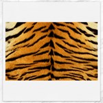 Tiger Print	Canvas 12  x 12 