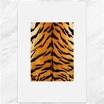 Tiger Print	Canvas 12  x 18 