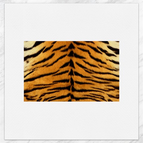 Tiger Print	Canvas 16  x 16  from ArtsNow.com 15.2 x15.41  Canvas - 1