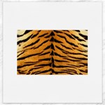 Tiger Print	Canvas 16  x 16 