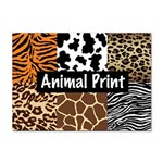 Animal Print	 Sticker A4 (10 pack)