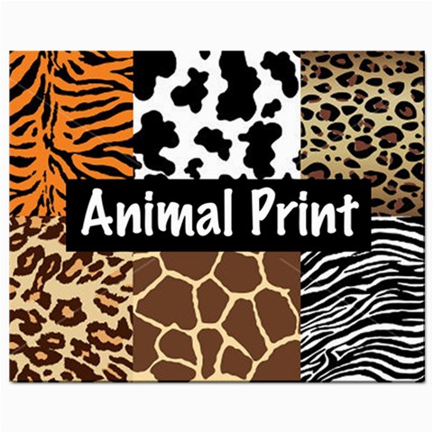 Animal Print	Prints 8  x 10  from ArtsNow.com Front