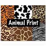 Animal Print	Prints 8  x 10 