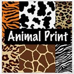 Animal Print	Canvas 12  x 12 