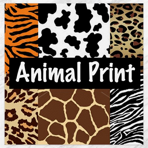 Animal Print	Canvas 20  x 20  from ArtsNow.com 19 x19.27  Canvas - 1