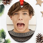 Louis Tomlinson 1325135636 Ornament (Oval)