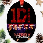 One Direction One Direction 31160676 1600 900 Ornament (Oval)