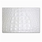 Ll Alligator White Postcards 5  x 7  (Pkg of 10)