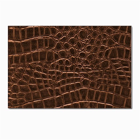 Leather Look & Skins Brown Crocodile Postcards 5  x 7  (Pkg of 10) from ArtsNow.com Front