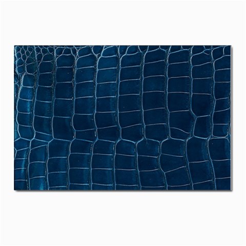 Leather Look & Skins Blue Silverback Postcard 4 x 6  (Pkg of 10) from ArtsNow.com Front