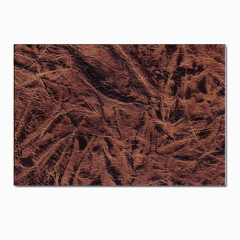 Leather Look & Skins Bark Brown Postcards 5  x 7  (Pkg of 10) from ArtsNow.com Front