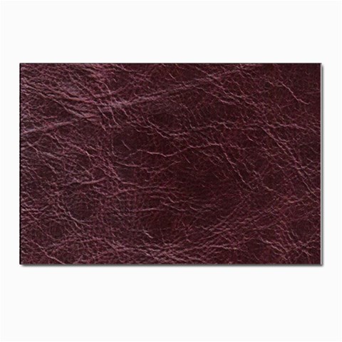 Leather Look & Skins  Capri Cranberry Postcard 4 x 6  (Pkg of 10) from ArtsNow.com Front