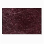 Leather Look & Skins  Capri Cranberry Postcard 4 x 6  (Pkg of 10)