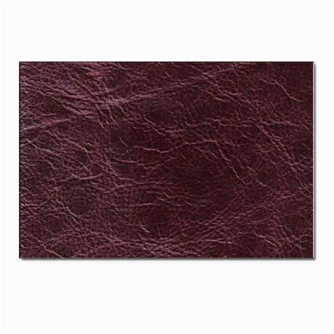 Leather Look & Skins  Capri Cranberry Postcards 5  x 7  (Pkg of 10) from ArtsNow.com Front