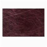 Leather Look & Skins  Capri Cranberry Postcards 5  x 7  (Pkg of 10)