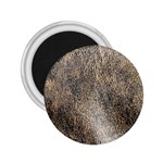 Ll Brown 2.25  Magnet