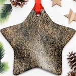 Ll Brown Ornament (Star)