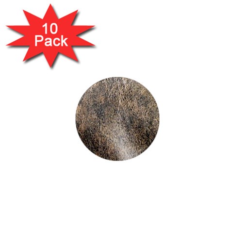 Ll Brown 1  Mini Magnet (10 pack)  from ArtsNow.com Front