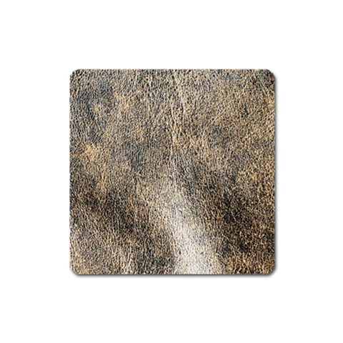 Ll Brown Magnet (Square) from ArtsNow.com Front
