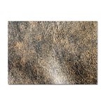 Ll Brown Sticker A4 (100 pack)