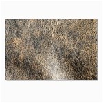 Ll Brown Postcard 4 x 6  (Pkg of 10)