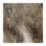 Ll Brown Glasses Cloth (Medium, Two Sides)