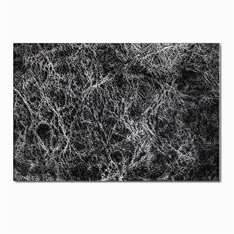 Ll Black Postcard 4 x 6  (Pkg of 10) from ArtsNow.com Front