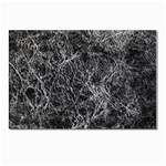Ll Black Postcard 4 x 6  (Pkg of 10)