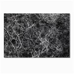 Ll Black Postcards 5  x 7  (Pkg of 10)