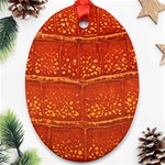 Ll Alligator Ornament (Oval)